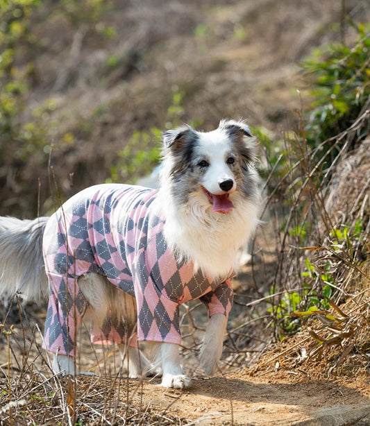 Stylish pet accessories for dogs and cats – FurLuna