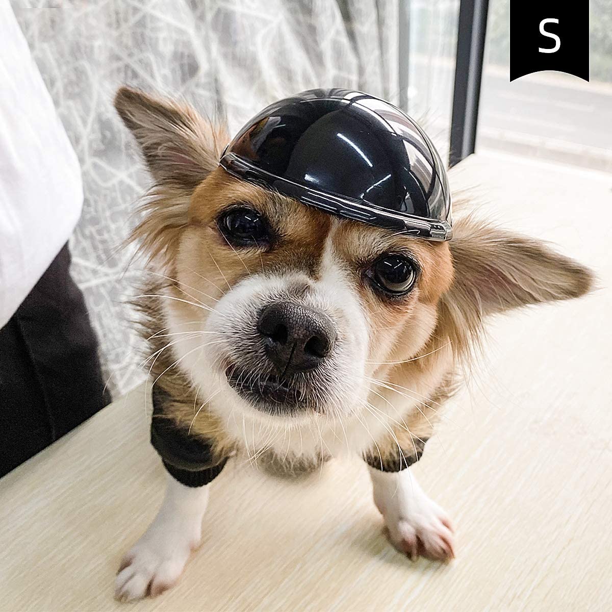 Pet Motorcycle Helmet – Fun Novelty Hat & Headwear Accessory for Dogs & Cats