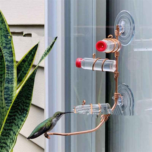 Suction Cup Garden Bird Feeder – Easy-Clean Wild Bird Drinker & Feeder