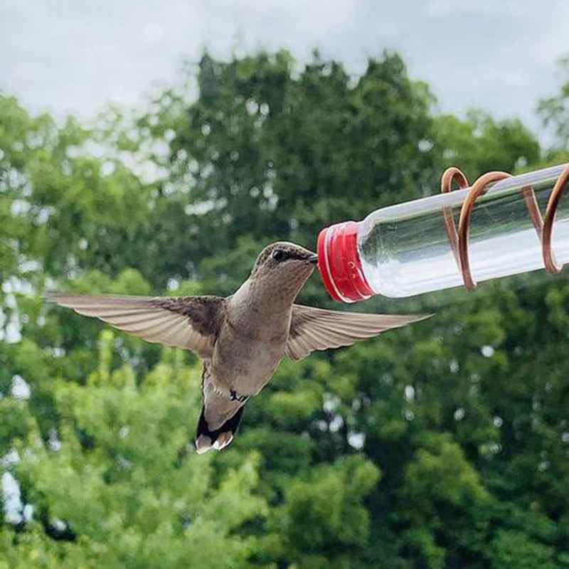 Suction Cup Garden Bird Feeder – Easy-Clean Wild Bird Drinker & Feeder