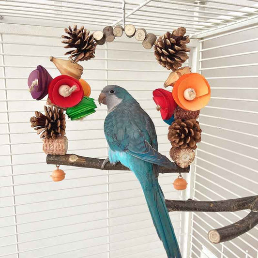 Parrot Swing Perch – Pine Wood Bird Stand & Claw Care Toy