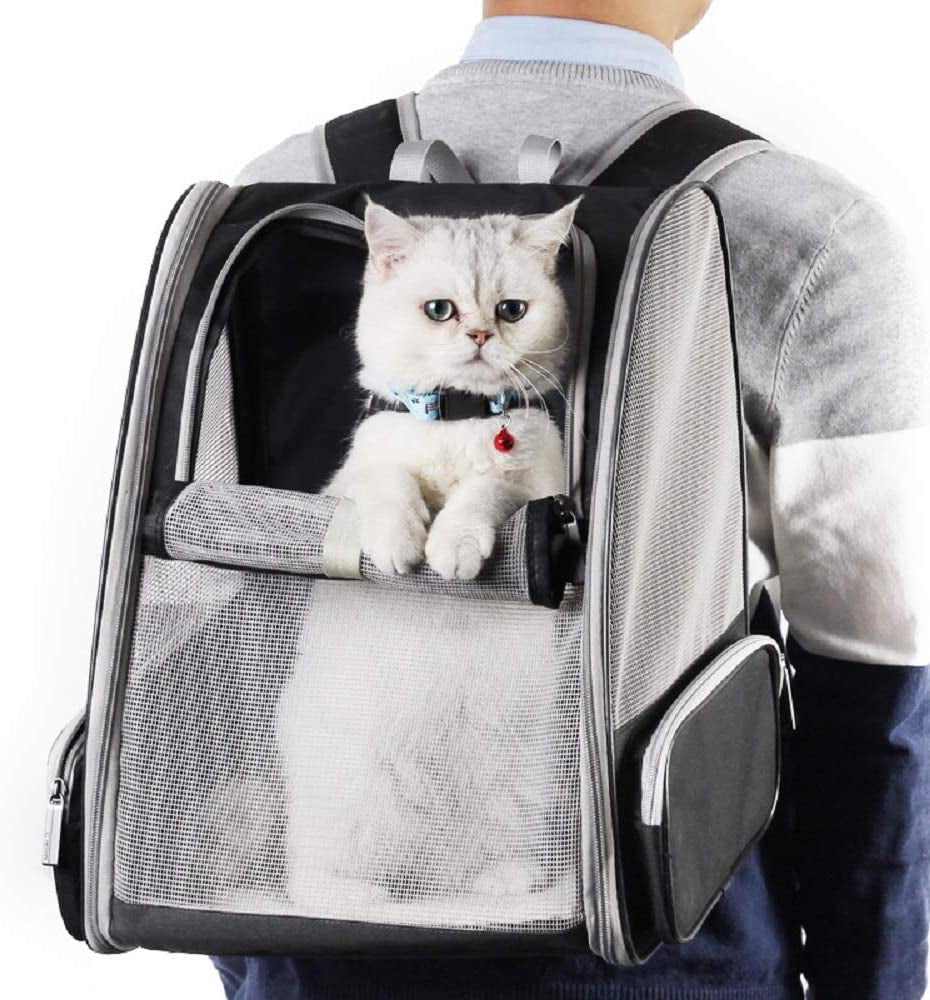 Revolutionary Bubble Backpack Pet Carrier for Cats and Dogs - Stylish Black Design