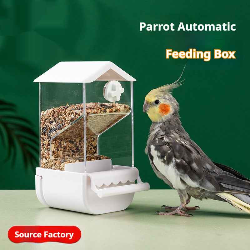 Automatic Parrot Feeder – Food Container & Dispenser for Pet Birds