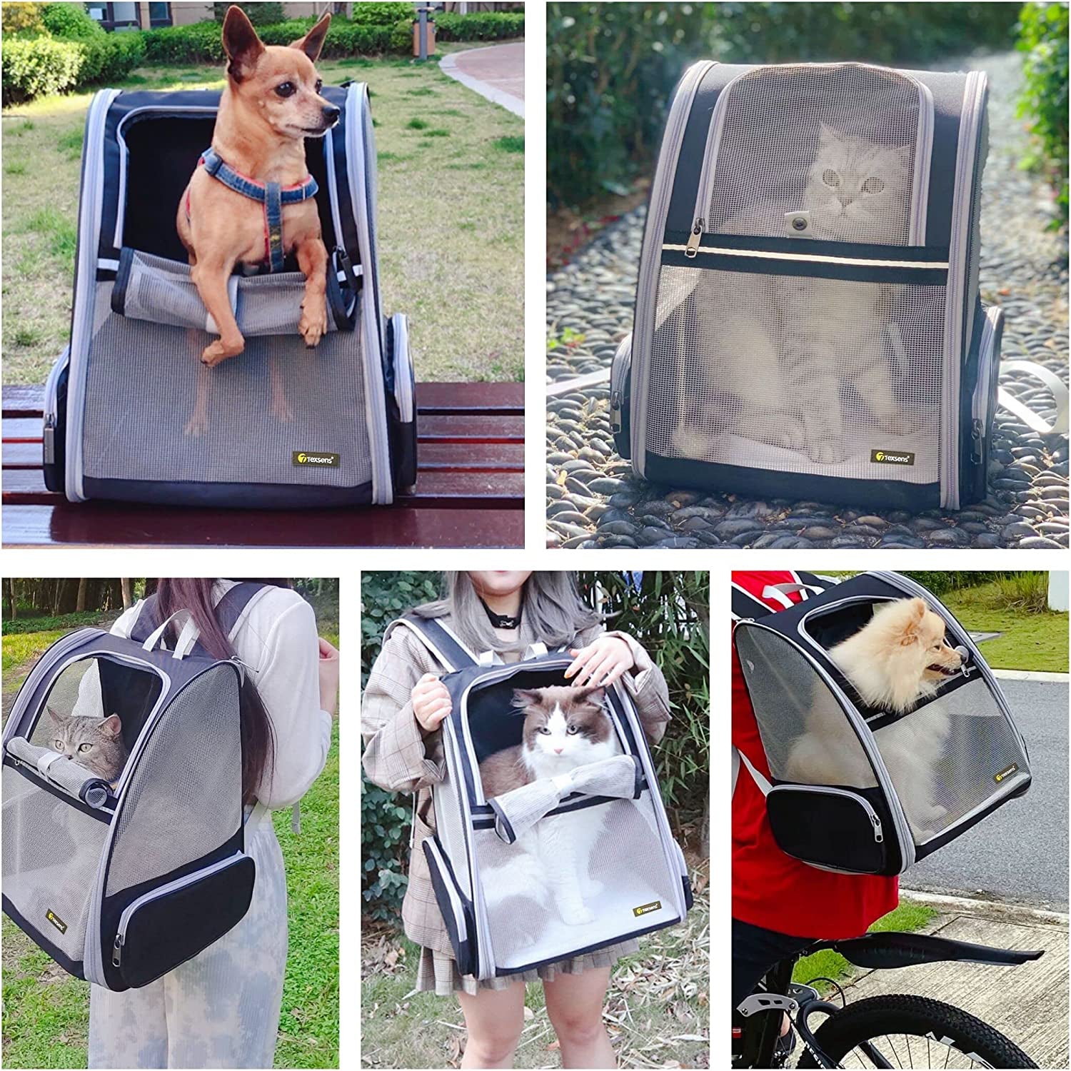 Revolutionary Bubble Backpack Pet Carrier for Cats and Dogs - Stylish Black Design