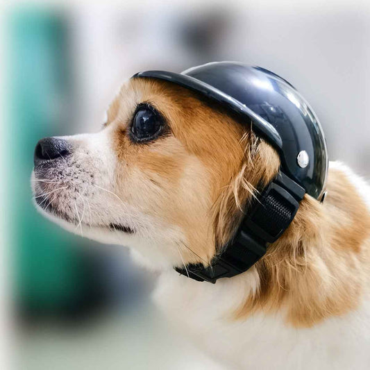 Pet Motorcycle Helmet – Fun Novelty Hat & Headwear Accessory for Dogs & Cats