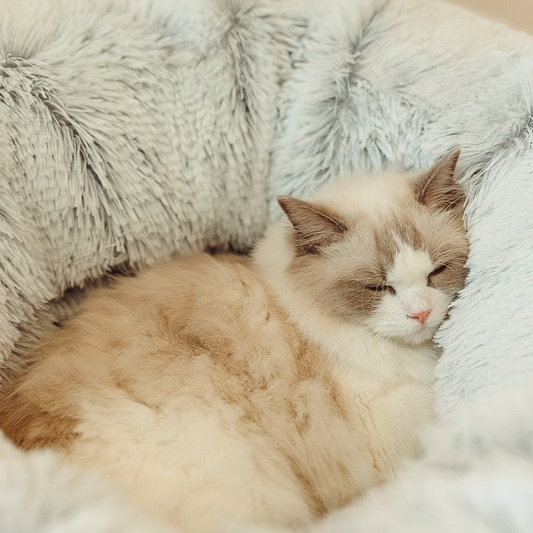 Cat Tunnel Nest