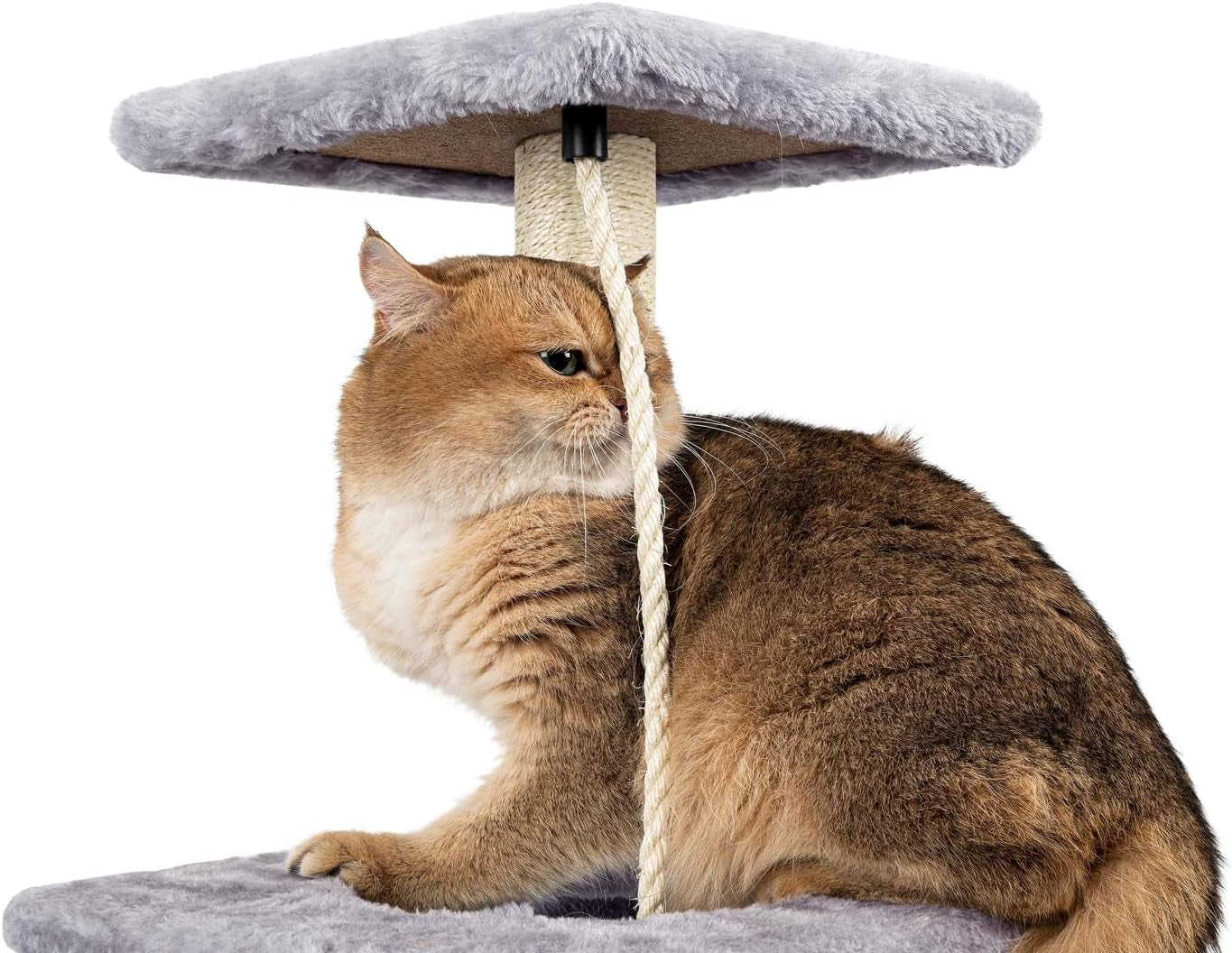 Cat Tree, 90Cm Cat Scratching Post for Indoor Cats, Stable Cat Tower, Grey | Multi-Level Cat Scratch Post with Toy, Climbing Playing and Relaxation