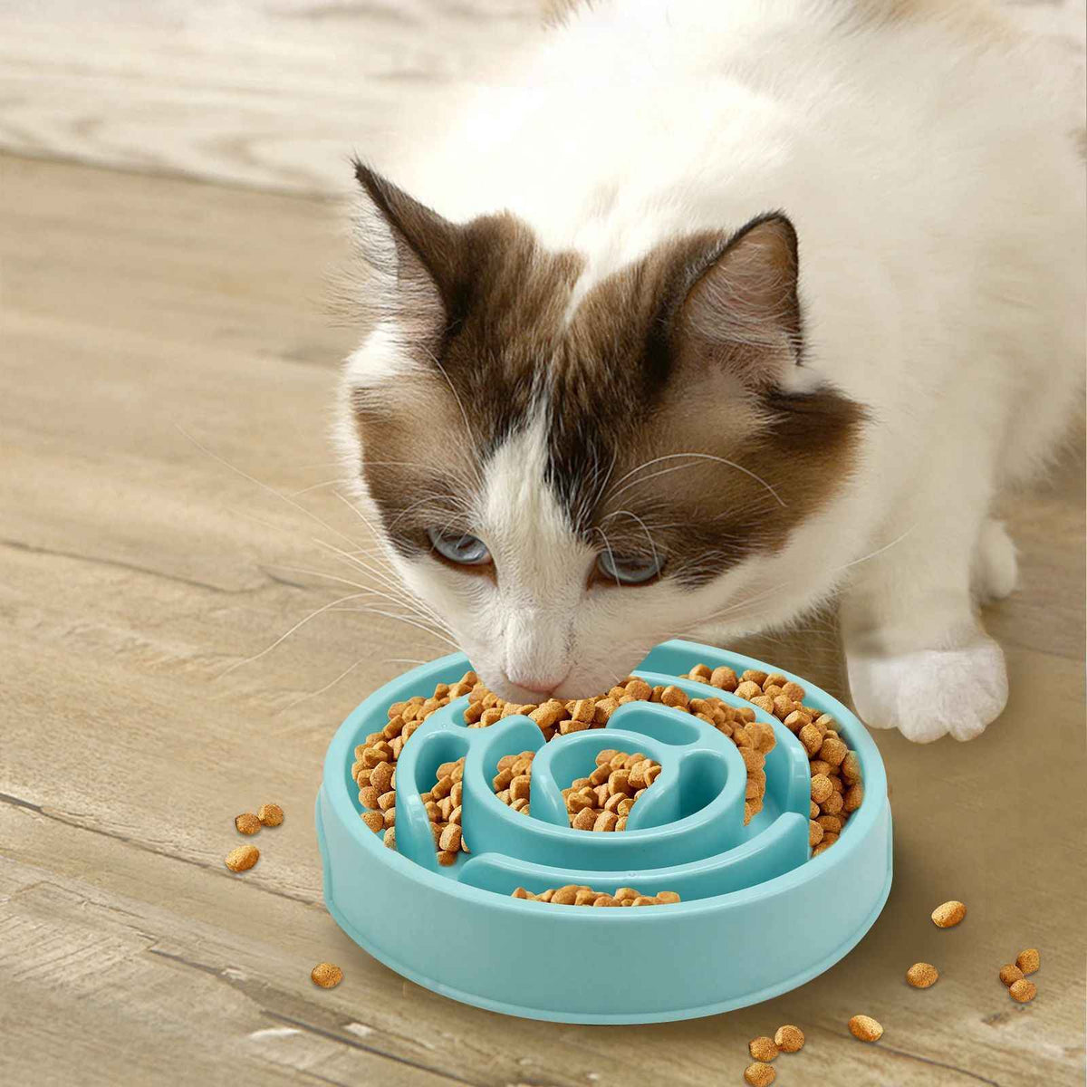 Non-Slip Slow Feeder Dog Bowl – Anti-Gulping Eco Dish for All Dog Sizes