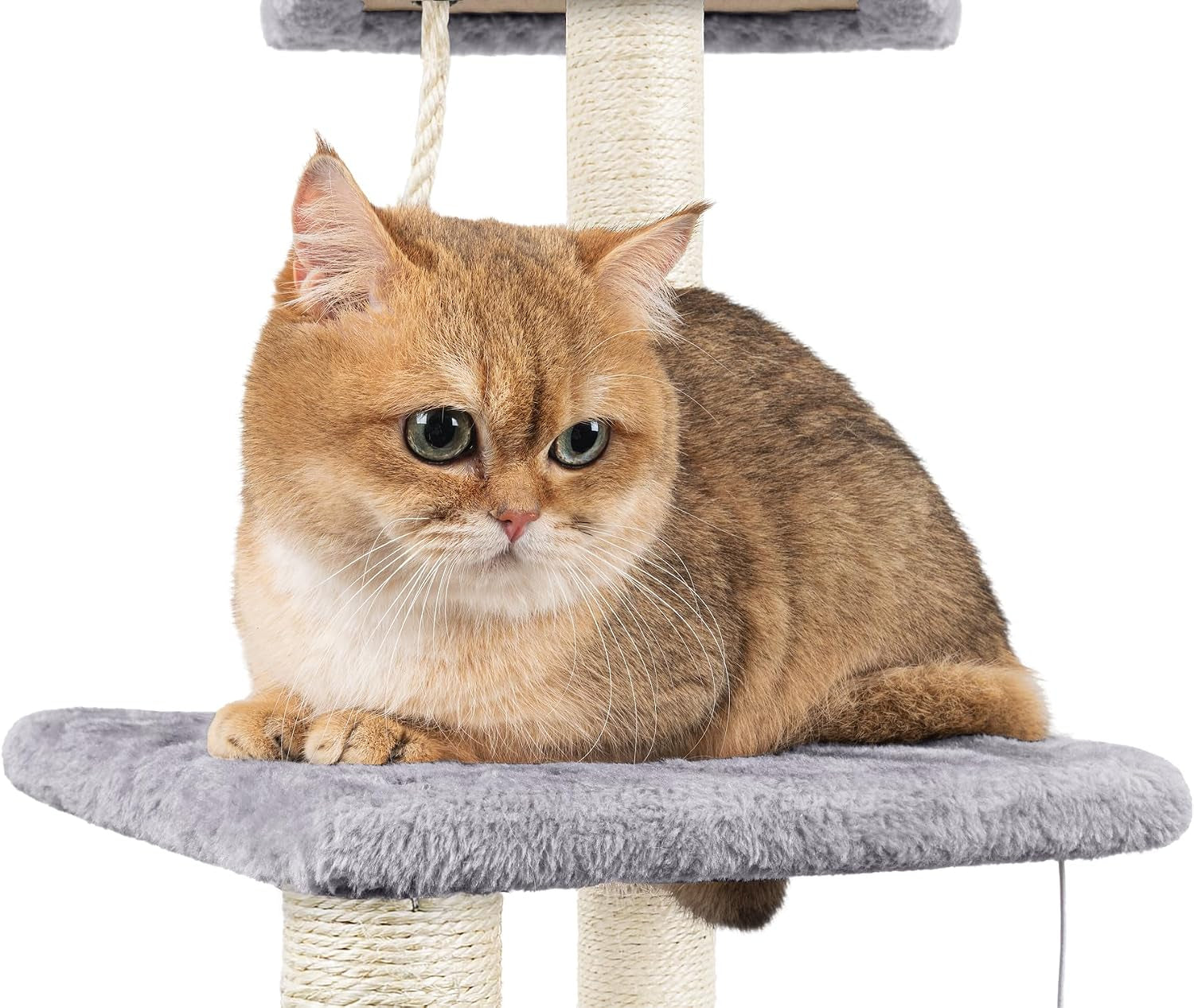 Cat Tree, 90Cm Cat Scratching Post for Indoor Cats, Stable Cat Tower, Grey | Multi-Level Cat Scratch Post with Toy, Climbing Playing and Relaxation