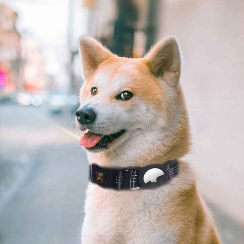 Pet GPS Tracker – Mobile Phone Compatible Locator & Protector